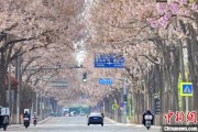 六安共建“花园城市” 北京这场议政会“百花齐放”