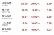 六安“苏超”爆火！300651，“20cm”涨停