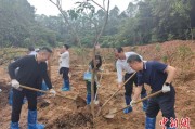 六安广州已打造首批32处“绿美宗教活动场所”