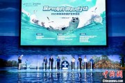 六安辽东湾海域斑海豹种群数量呈现稳定增长