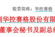 六安华控赛格董事长、董秘、副总经理三高管同日辞职