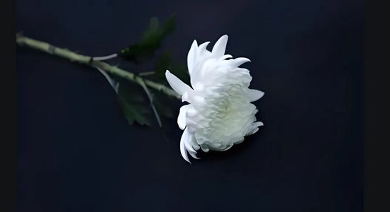 噩耗！证监会(🎍)前副主席、深交所前理事长陈东征去世！